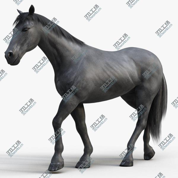 images/goods_img/20210312/Horse PRO ( Black ) 3D model/1.jpg